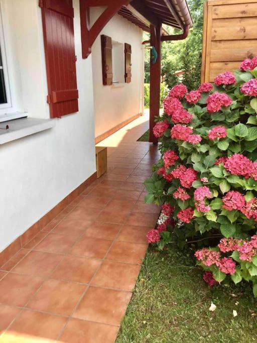 1Km Plage, Agreable Maison 6 Pers Classee 3* Hendaye Kültér fotó